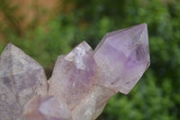 Natural Jacaranda Amethyst Crystal Clusters  x 4 From Zambia - TopRock