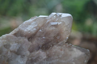 Natural Cascading Smokey White Phantom Quartz Clusters  x 2 From Luena, Congo - Toprock Gemstones and Minerals 