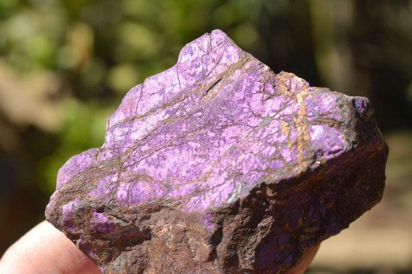 Natural Rare Metallic Purpurite Cobbed Specimens x 12 From Erongo, Namibia - TopRock