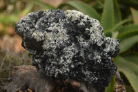 Natural Black Tourmaline Specimen x 1 From Erongo Mountains, Namibia - TopRock