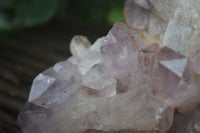 Natural Jacaranda Amethyst Cluster x 1 From Mumbwa, Zambia - TopRock