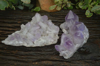 Natural Jacaranda Amethyst Clusters  x 2 From Mumbwa, Zambia - Toprock Gemstones and Minerals 