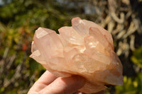 Natural Tangerine Quartz Clusters With Large Crystals  x 3 From Madagascar - TopRock