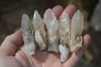 Natural Drusy Quartz Coated Calcite Crystals  x 20 From Alberts Mountain, Lesotho - Toprock Gemstones and Minerals 