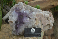 Natural Large Jacaranda Amethyst Vug Specimen  x 1 From Mumbwa, Zambia - TopRock