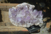 Natural Jacaranda Amethyst Cluster  x 1 From Zambia - Toprock Gemstones and Minerals 