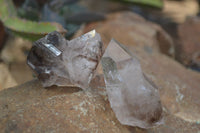 Natural Smokey Window Quartz & Matrix Specimens  x 6 From Brandberg, Namibia - Toprock Gemstones and Minerals 