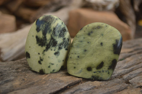 Polished Leopard Stone Standing Free Forms x 6 From Zimbabwe