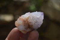 Natural Spirit Ametrine Quartz Crystals x 20 From Boekenhouthoek, South Africa