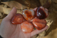 Polished Carnelian Agate Hearts  x 12 From Madagascar