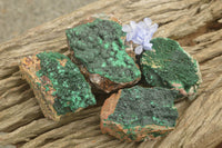 Natural Crystalline Botryoidal Malachite Specimens  x 4 From Tenke Fungurume, Congo - TopRock