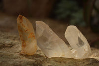 Natural Clear Smokey Quartz Crystals x 1.9 Kg Lot From Zimbabwe