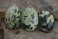 Polished Spotted Leopard Stone Gallets  x 12 From Zimbabwe - Toprock Gemstones and Minerals 