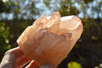 Natural Tangerine Quartz Clusters With Large Crystals  x 3 From Madagascar - TopRock