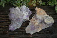 Natural Jacaranda Amethyst Clusters  x 2 From Mumbwa, Zambia - Toprock Gemstones and Minerals 