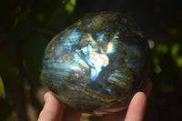 Polished  Puffy Labradorite Gemstone Hearts  x 2 From Tulear, Madagascar