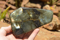 Polished Labradorite Standing Free Forms With Intense Blue & Gold Flash x 2 From Sakoany, Madagascar - TopRock