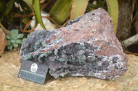 Natural Drusy Coated Ball Malachite On Dolomite Specimen  x 1 From Likasi, Congo