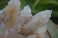 Natural Spirit Amethyst Quartz Clusters  x 2 From Boekenhouthoek, South Africa - Toprock Gemstones and Minerals 