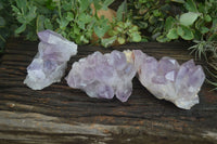 Natural Jacaranda Amethyst Clusters  x 3 From Mumbwa, Zambia - Toprock Gemstones and Minerals 