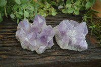 Natural Jacaranda Amethyst Clusters x 2 From Mumbwa, Zambia - TopRock