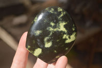 Polished Leopard Stone Standing Free Forms x 6 From Zimbabwe