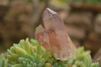 Natural Red Hematoid Quartz Specimens x 12 From Karoi, Zimbabwe - TopRock