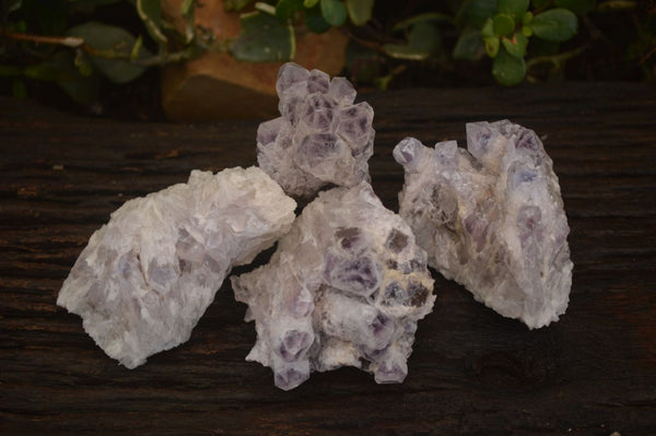 Natural Sugar Amethyst Clusters  x 4 From Solwezi, Zambia