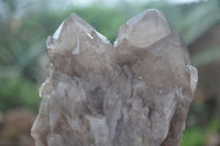 Natural Cascading Smokey White Phantom Quartz Clusters  x 2 From Luena, Congo - Toprock Gemstones and Minerals 