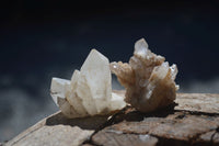 Natural Small Mixed Quartz Clusters  x 35 From Madagascar - Toprock Gemstones and Minerals 