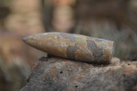 Natural Belemnite Fossil "Bullets" x 70 From Maintirano, Madagascar - TopRock