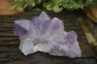 Natural Jacaranda Amethyst Clusters  x 2 From Mumbwa, Zambia - Toprock Gemstones and Minerals 