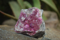 Natural Pink Salrose Cobaltion Dolomite Specimens  x 6 From Kakanda, Congo