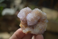 Natural Spirit Ametrine Quartz Crystals x 20 From Boekenhouthoek, South Africa