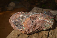 Natural Massive Drusy Coated Malachite On Red Copper Dolomite Specimen  x 1 From Likasi, Congo