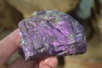 Natural Metallic Purpurite Cobbed Specimens A Grade x 12 From Erongo, Namibia - Toprock Gemstones and Minerals 