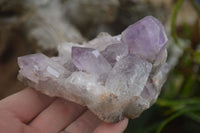 Natural Jacaranda Amethyst Crystal Clusters  x 4 From Zambia - TopRock