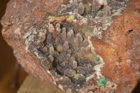 Natural Massive Drusy Coated Ball Malachite On Red Copper Dolomite Specimen x 1 From Likasi, Congo