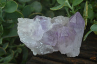 Natural Jacaranda Amethyst Clusters  x 3 From Mumbwa, Zambia - Toprock Gemstones and Minerals 