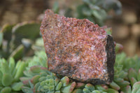 Natural Rough Red Rhodonite Specimens  x 12 From Zimbabwe