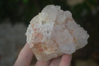 Natural White Cactus Spirit Quartz Crystals  x 3.6 Kg Lot From Boekenhouthoek, South Africa - Toprock Gemstones and Minerals 