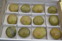 Polished Green Opal Palm Stones  x 12 From Antsirabe, Madagascar - Toprock Gemstones and Minerals 