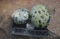 Polished Spotted Leopard Stone Gallets  x 12 From Zimbabwe - Toprock Gemstones and Minerals 