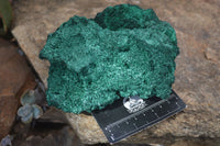 Natural Chatoyant Silky Malachite Specimen x 1 From Kasompe, Congo - Toprock Gemstones and Minerals 