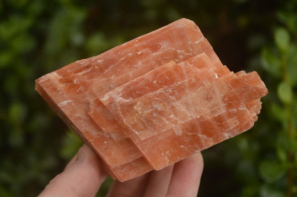 Natural New Sunset Orange Calcite Specimens  x 4 From Spitzkop, Namibia