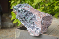 Natural Drusy Coated Ball Malachite On Dolomite Specimen  x 1 From Likasi, Congo