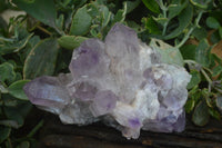 Natural Jacaranda Amethyst Clusters  x 2 From Mumbwa, Zambia - Toprock Gemstones and Minerals 