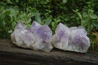 Natural Jacaranda Amethyst Clusters x 2 From Mumbwa, Zambia - TopRock