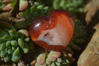 Polished Carnelian Agate Hearts  x 12 From Madagascar