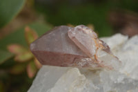 Natural Red Hematoid Quartz Specimens x 12 From Karoi, Zimbabwe - TopRock